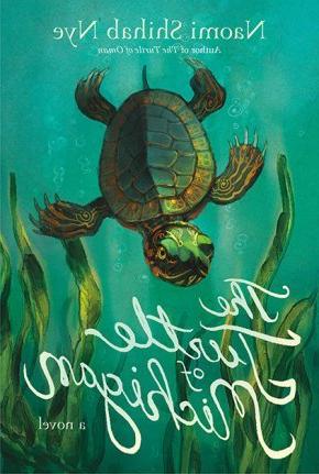 The Turtle of Michigan book cover