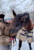卡莉·约克(右)牵着一匹马站在外面的雪地里